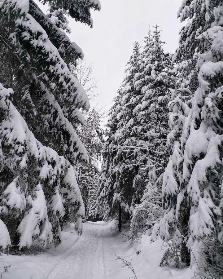 Dren - Banjska Stena Mitrovac Exterior photo